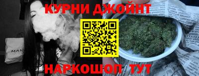 дмт Гатчина