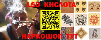 хмурый Гай