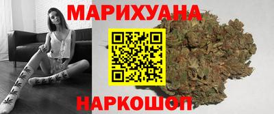 дмт Гатчина