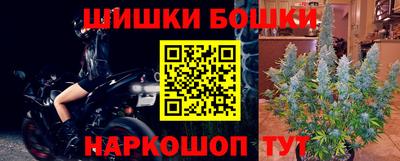 дмт Гатчина