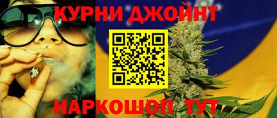 дмт Гатчина