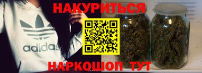 дмт Гатчина