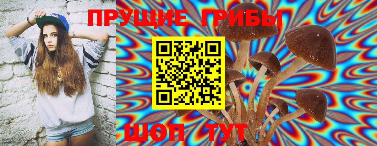 Псилоцибиновые грибы Psilocybe  Вход с VPN  Губаха  Псилоцибиновые грибы MAGIC MUSHROOMS 